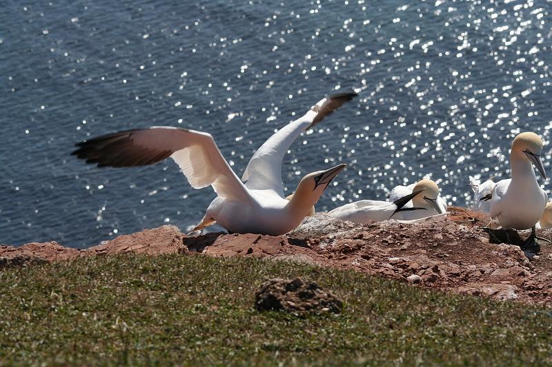 DP-2011-007 Bild0215c.JPG